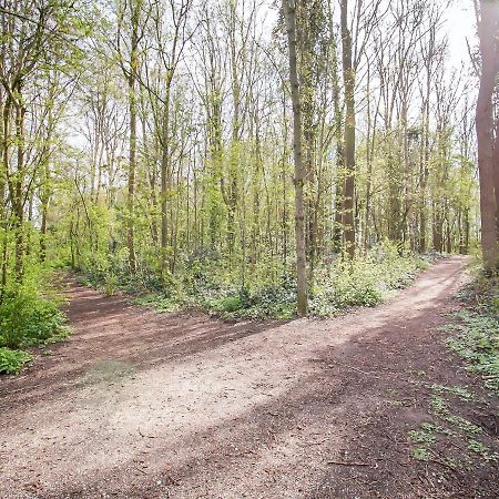 Lovely Bungalow In Noordwijkerhout With Garden Bagian luar foto